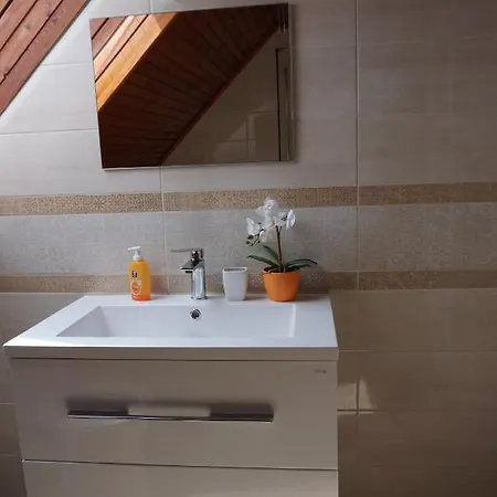 Alexandra Vendeghaz *