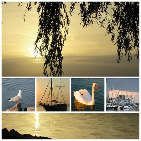 Alexandra Vendeghaz بيت للعطل شيوفوك