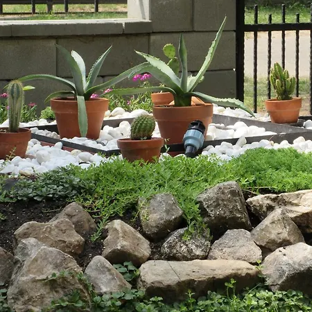 Alexandra Vendeghaz بيت للعطل *