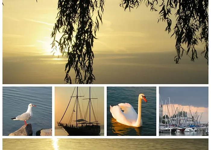 Alexandra Vendeghaz בית נופש שיופוק