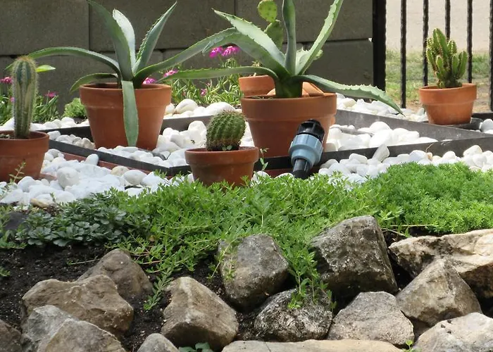 Alexandra Vendeghaz בית נופש *