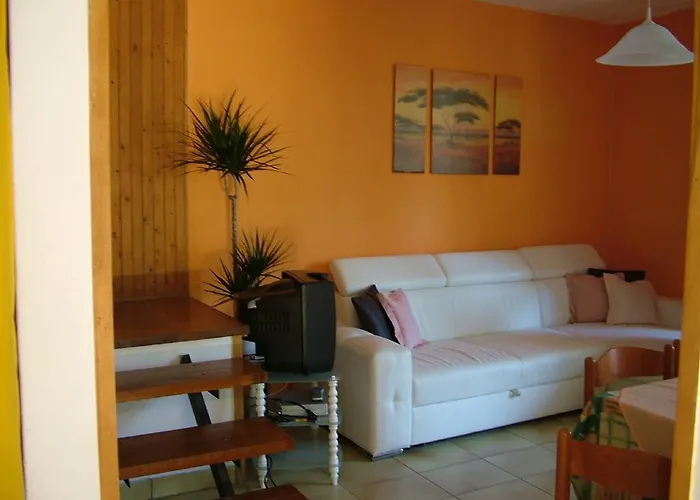 Alexandra Vendeghaz *