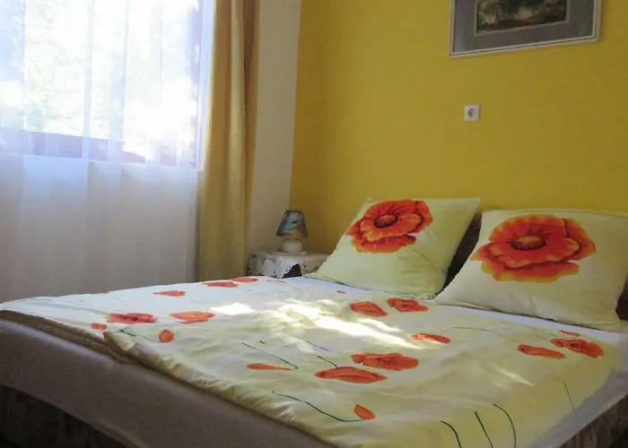 Alexandra Vendeghaz Dom wakacyjny Siófok